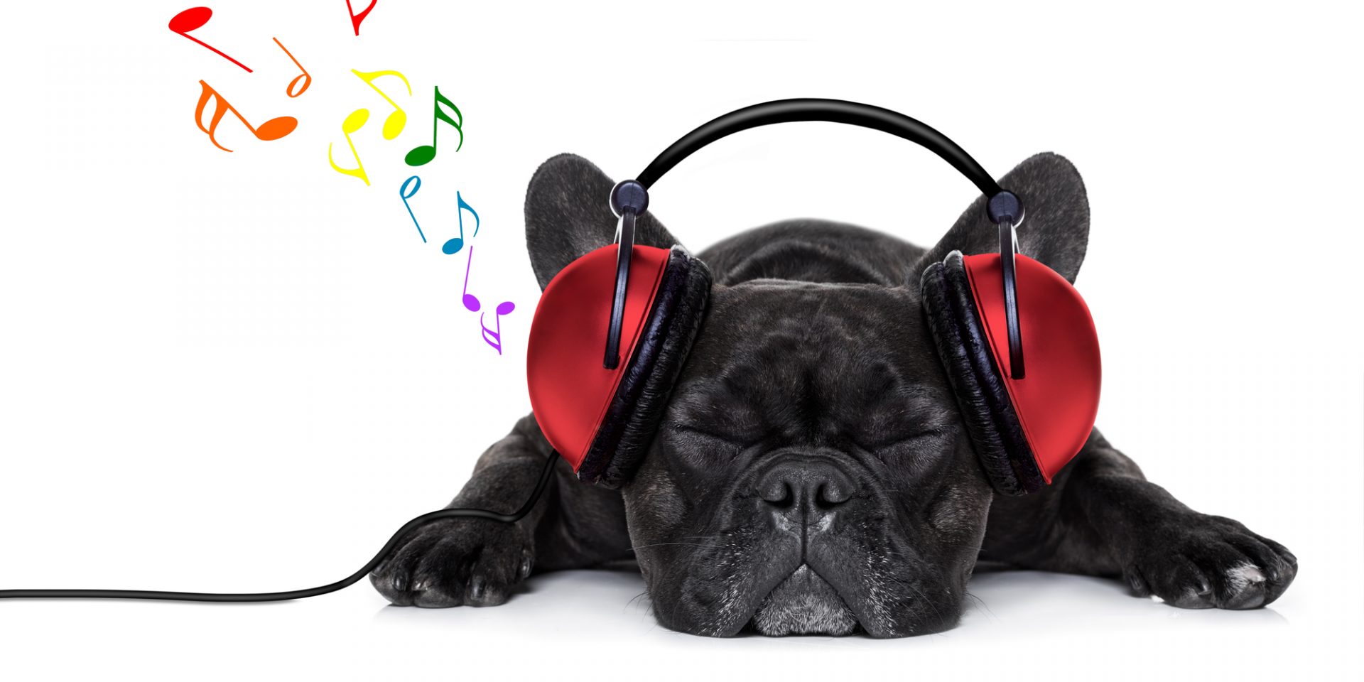 viralstat tool for music labels