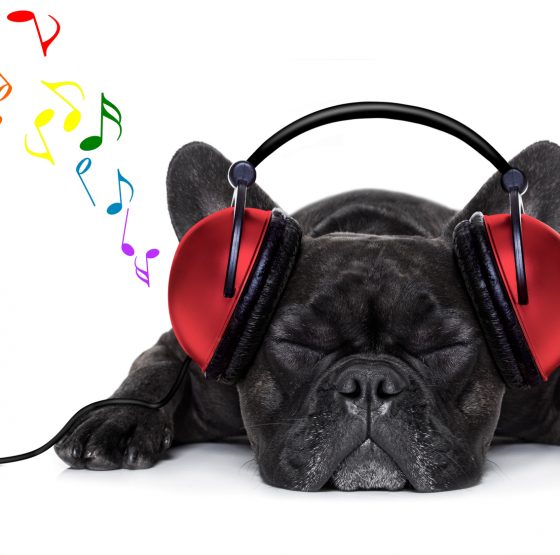 viralstat tool for music labels