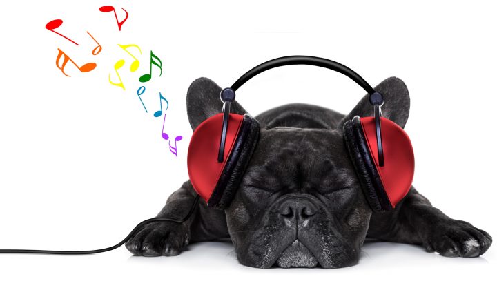 viralstat tool for music labels