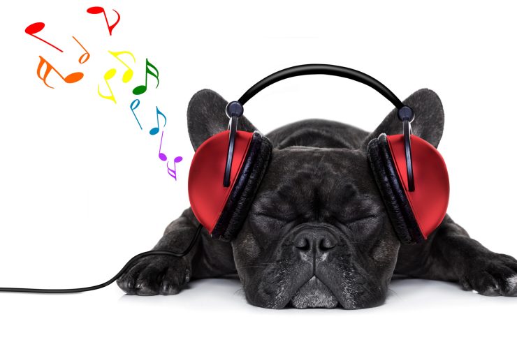 viralstat tool for music labels