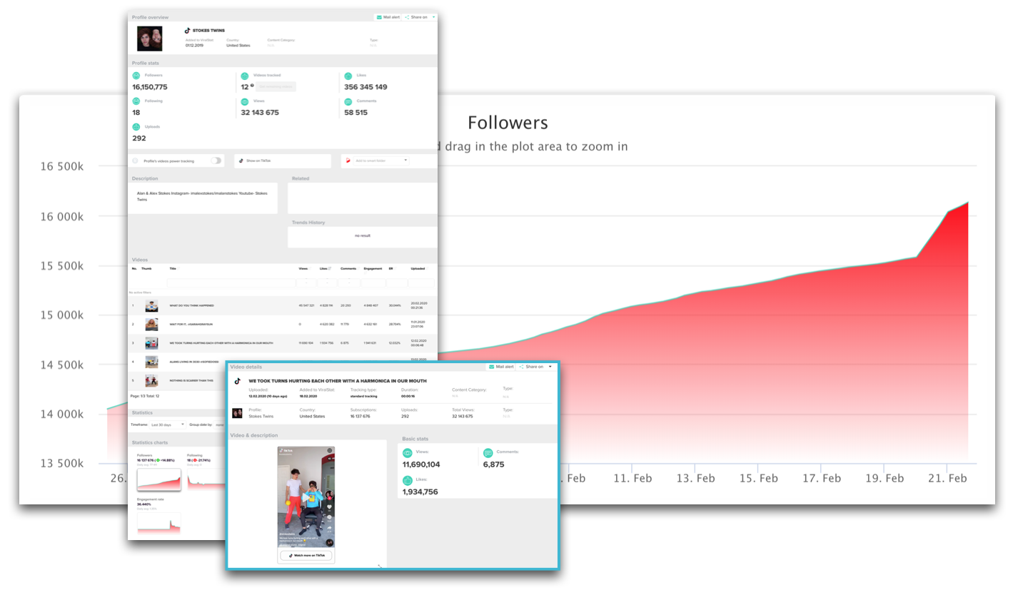 tiktokers profiles statistics